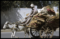 A merchant driving a donkey car. Quetta, Pakistan
