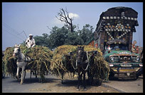 Colourful and common modes of transport, the horse car and decorated long-haul trucks. Multan, Pakistan