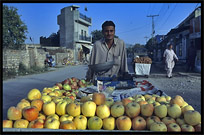 A merchant selling apples. Taxila, Pakistan