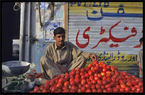 A merchant selling tomato's. Taxila, Pakistan