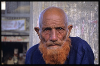 Portrait of a bald Pakistani with orange beard. Taxila, Pakistan