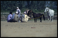 Pictures of Peshawar