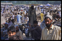 Afghan refugees selling their animals. Peshawar, Pakistan