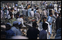 Overview of the Afghan horse market. Peshawar, Pakistan