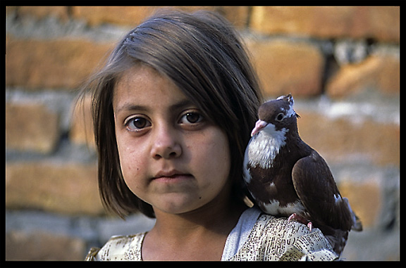 Portrait of a Pashtun girl and her dove. Madyan, Pakistan