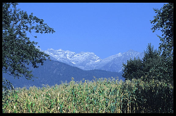 Swat, also called 'the Switzerland of the East'. Madyan, Pakistan