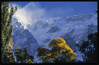 The Ultar II (7388m), seen from Karimabad at sunrise. Karimabad, Hunza, Pakistan