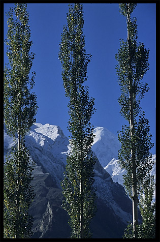 Hunza Valley and Rakaposhi (7790m), seen from Karimabad. Karimabad, Hunza, Pakistan