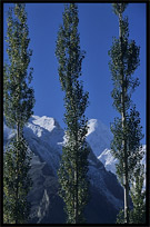 Hunza Valley and Rakaposhi (7790m), seen from Karimabad. Karimabad, Hunza, Pakistan