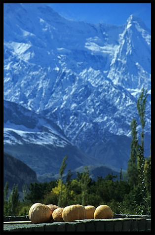 Pumpkins on the roof of a house with Rakaposhi (7790m) in the background. Karimabad, Hunza, Pakistan