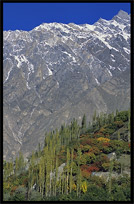 Typical view; blue sky, white peaks and colorful trees. Karimabad, Hunza, Pakistan