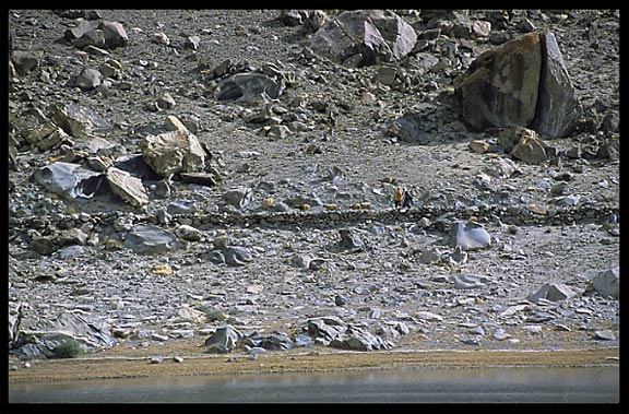 Local villagers near Borit Lake between Passu and Gulmit. Hunza, Pakistan