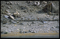 Local villagers near Borit Lake between Passu and Gulmit. Hunza, Pakistan