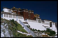 The Potala with the White and the Red Palace. Lhasa, Tibet, China