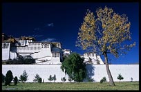 The Potala Palace and pilgrims. Lhasa, Tibet, China