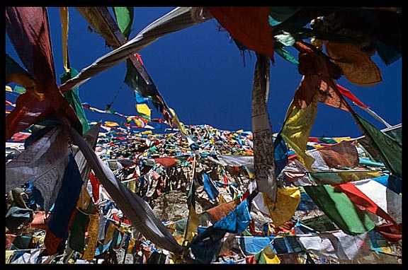 Colourful prayer flags on the Lingkhor Kora.