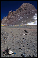 The skull of a dead yak on the last mountain pass near Nam Tso. Nam Tso, Tibet, China