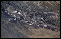 Drigung Til monastery sprouts from a high, steep ridge overlooking the Drigung valley. Tibet, China